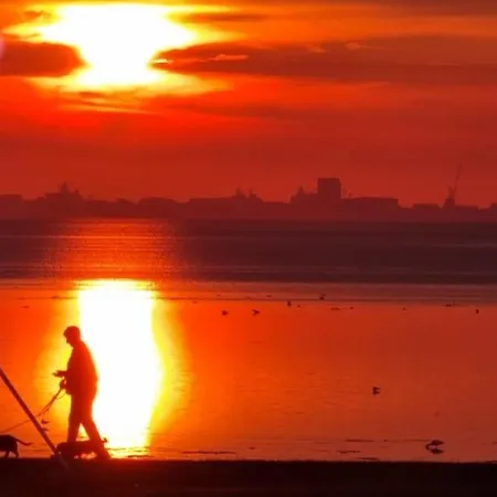 Traumlage Nr 67 Traumblick Direkt Am Wattenmeer Erste Reihe Unendliche Weite, Eingebettet In Der *